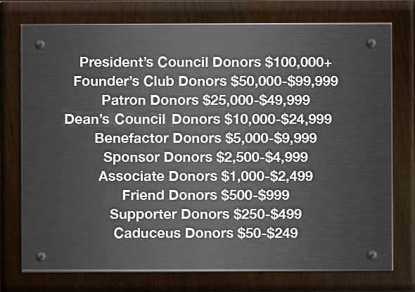 Donor levels Donor levels